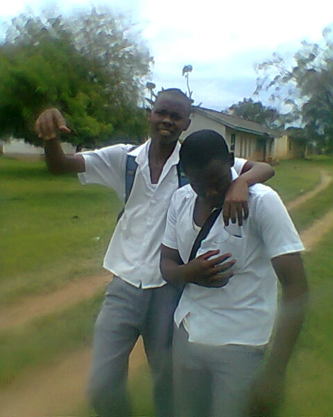 Love and friendship